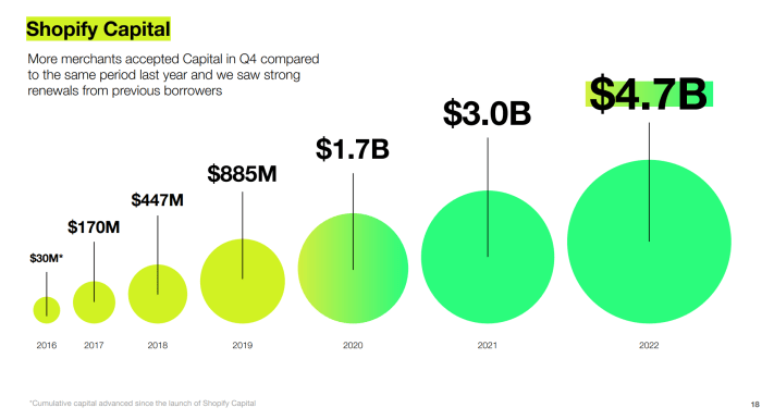 Shopify Capital: Boost Your Business with Flexible Funding Shopify Capital: Boost Your Business with Flexible Funding