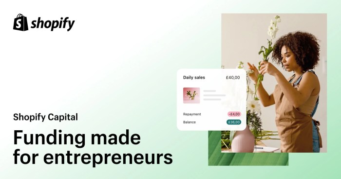 Shopify Capital | Business Funding Made for Entrepreneurs - Shopify UK Shopify Capital | Business Funding Made for Entrepreneurs - Shopify UK